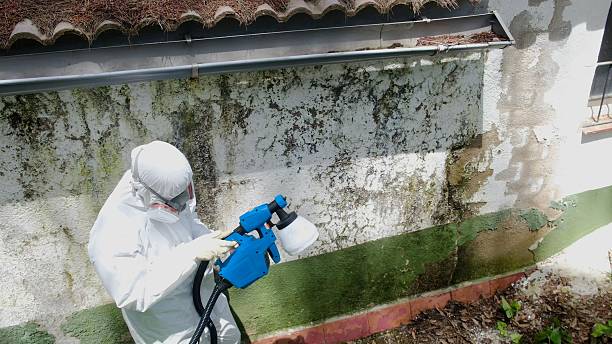Top rated local Hvac And Air Duct Mold Remediation specialists in Baroda, MI